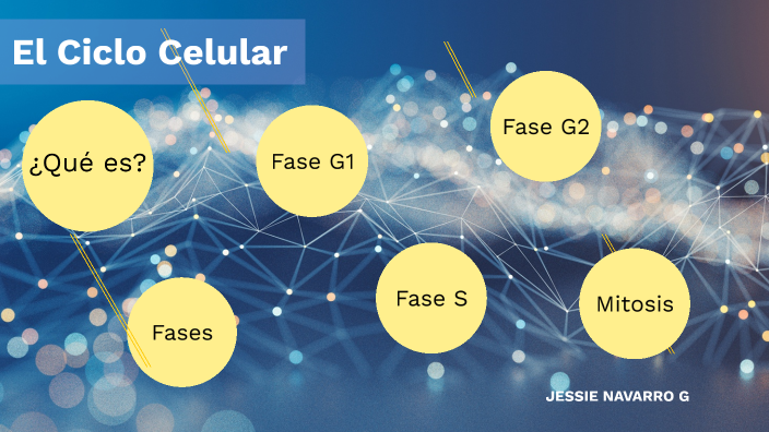 Ciclo Celular by Jessie Navarro on Prezi