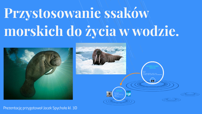 Przystosowanie ssaków morskich do życia w wodzie. by Jacek Spychała on