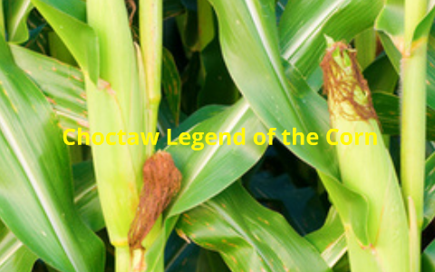 Choctaw legend of the corn by Chandler Bailey on Prezi