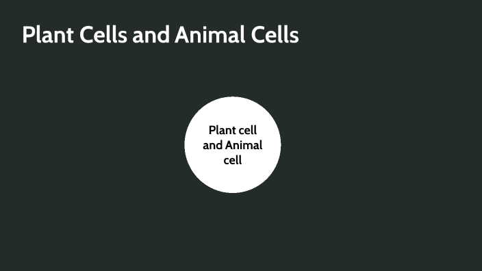 plant cells and animal cells by izabella lueer on Prezi