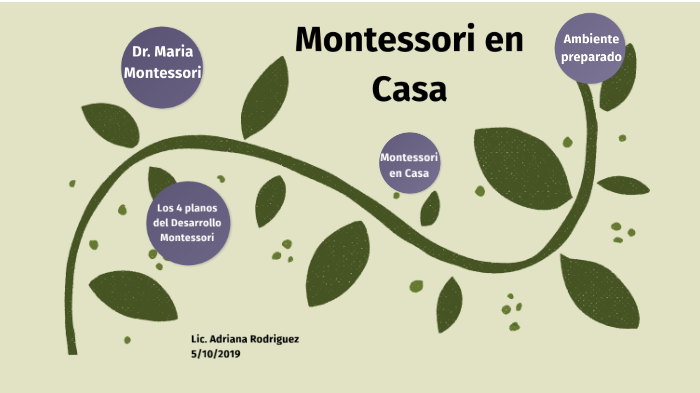 Los 4 planos del desarrollo de Montessori