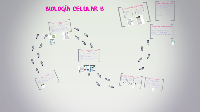 BIOLOGIA CELULAR B By Natalia Aguero On Prezi