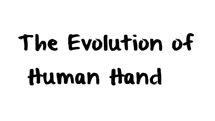 The Evolution of Human Hand by Elaine Ye on Prezi