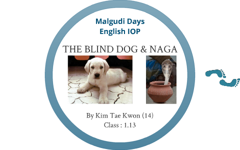 the blind dog story