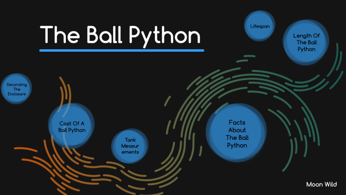 The Ball Python by Moon Wild on Prezi