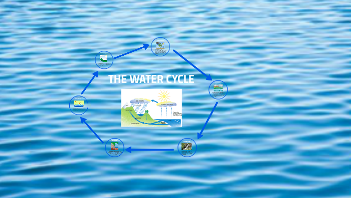 The Water Cycle by Grace Everlark on Prezi