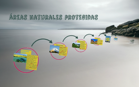 areas naturales protejidas by