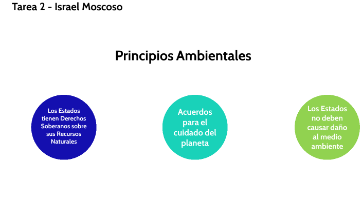 Principios Ambientales Internacionales By Israel Sebastián On Prezi 8839