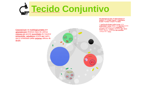 Tecido Conjuntivo By Willian G111