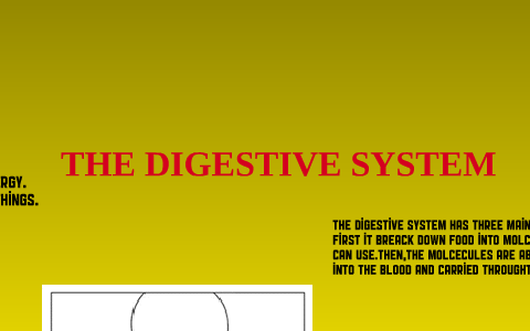 THE DIGESTIVE SYSTEM by nick rickman on Prezi