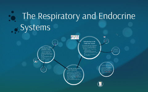 Introduction to the Respiratory System by Ryan Smith on Prezi