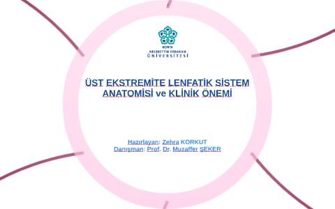 alt ekstremite hipertansiyonu