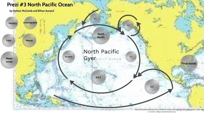 Blobfish Facts - WorldAtlas