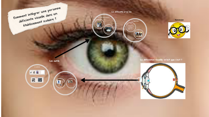 Comment intégrer une personne déficiente visuelle dans un ét by ...