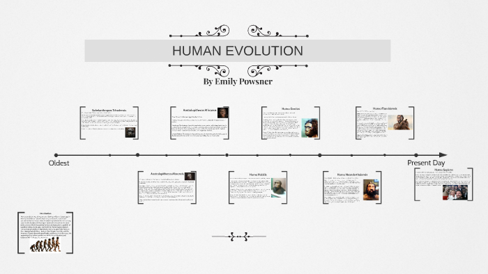 Human Evolution by Emily Powsner on Prezi