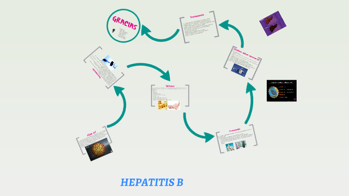 HEPATITIS B by Camila Martinez on Prezi
