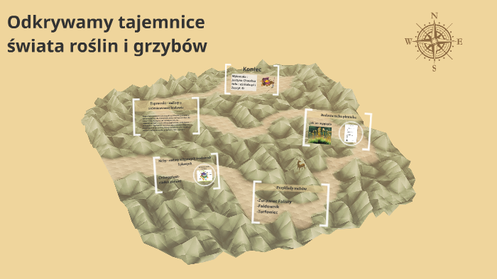 Odkrywamy tajemnice świata roślin i grzybów by Justyna Chwalisz on Prezi