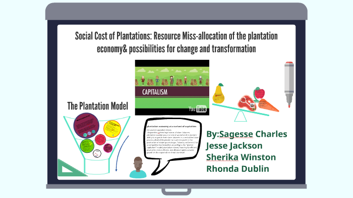 Social Cost of Plantations: Resource Missallocation of the p by Sagesse ...