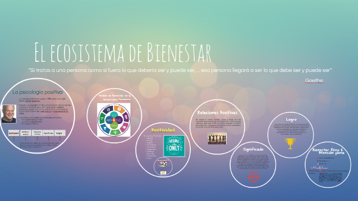 El Ecosistema De Bienestar By Mariana Godinez On Prezi