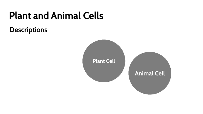 Plant and Animal Cells by Alexis Harvie on Prezi