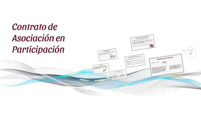 Contrato de Asociacion en Participacion by Mercedes Eileen Ramirez
