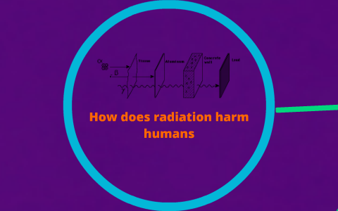 How does radiation effect humans by Haley Fullman on Prezi