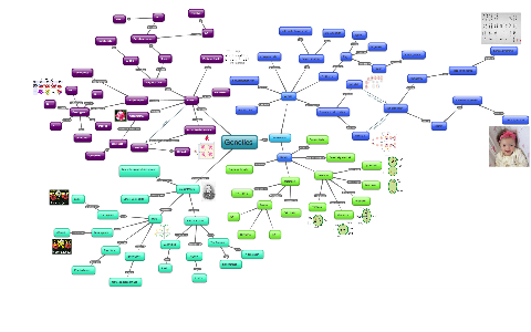 Genetics Concept Map Mastering Biology - United States Map