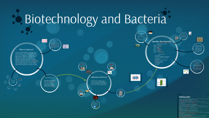 Utilization of Bacillus thuringiensis in Genetically Modified Crops -  microbewiki