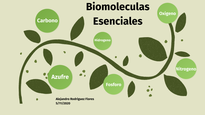 Biomoleculas esenciales by Alejandro Rodriguez Flores on Prezi