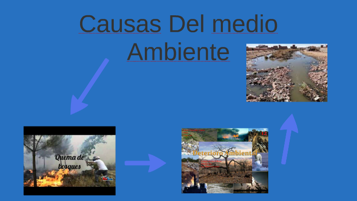 Causas Del medio Ambiente by Maria Andreina Osuna Gonzalez on Prezi