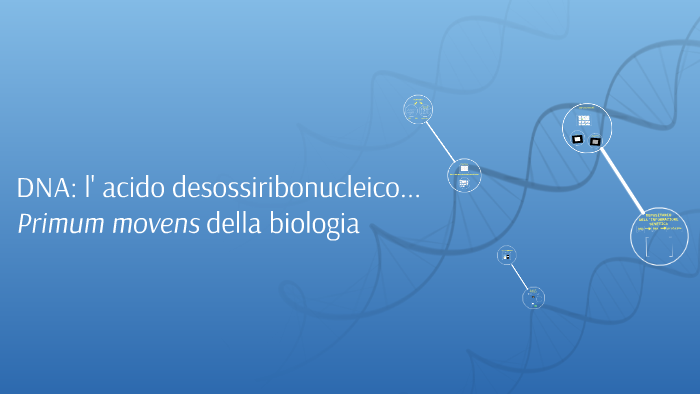 Dna Acido Desossiribonucleico By Enrico Bonazzi