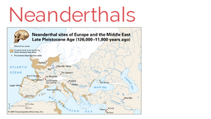 Importance of human evolution image