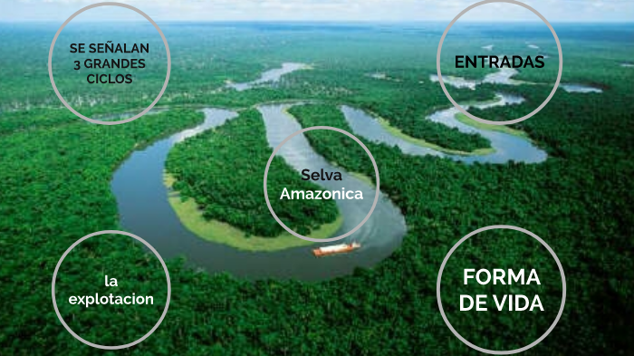 La selva amazonica by yenifer godoy on Prezi