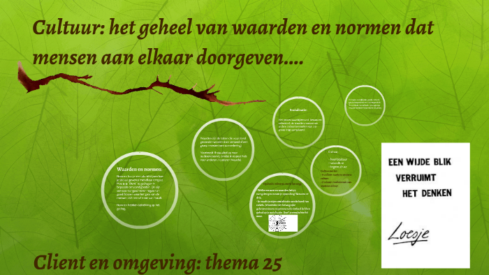 Socialisatie, normen en waarden. by annemieke ten bruin on Prezi