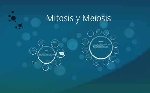 Fer Rdz Mitosis y Meiosis by Fer Rdz on Prezi