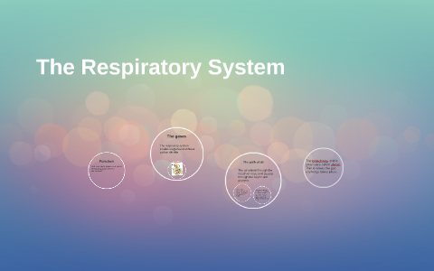 The Respiratory System by Kayla J on Prezi