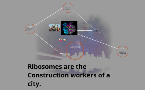Ribosomes are the Construction workers of a city. by Daniel Loffio on Prezi