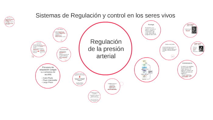 Sistemas de Regulación y control en los seres vivos by Ivanna Ferreyra