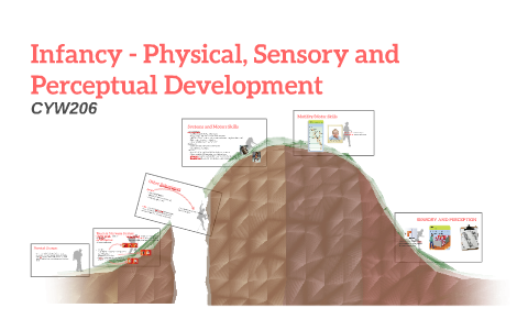 Infancy - Physical, Sensory And Perceptual Development By Kirk Stewart ...