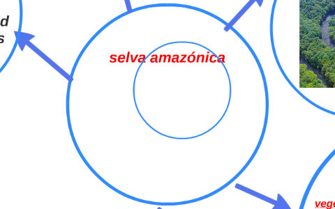 selva amazónica by colegio ivy on Prezi