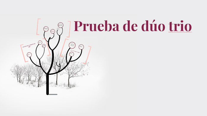 Prueba de dúo trio by valeria venancio xala on Prezi