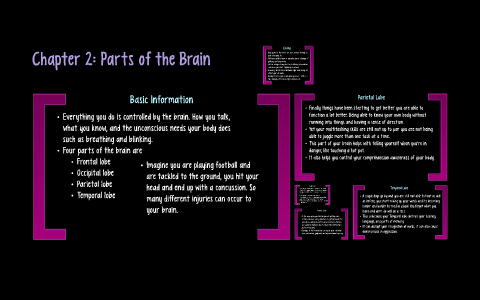 Chapter 2: Parts of the Brain by Taylor Nguyen on Prezi
