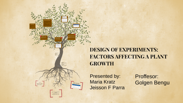 DESIGN OF EXPERIMENTS: FACTORS AFFECTING A PLANT GROWTH by Jeison Parra ...