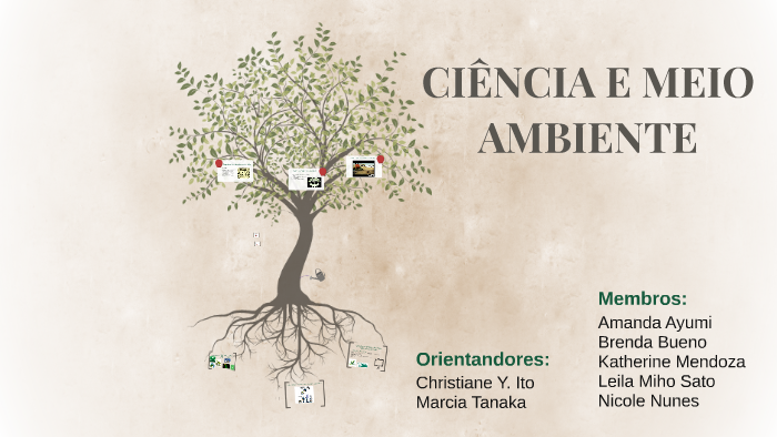 Ambientalismo X Ambientalismo Radical by Amanda Ayumi