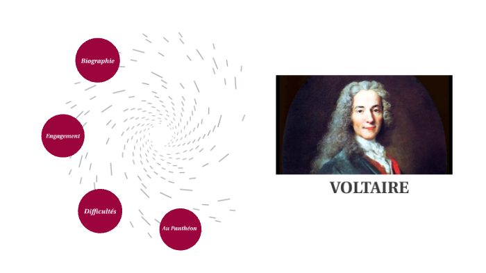 Voltaire By Johanna Nevo