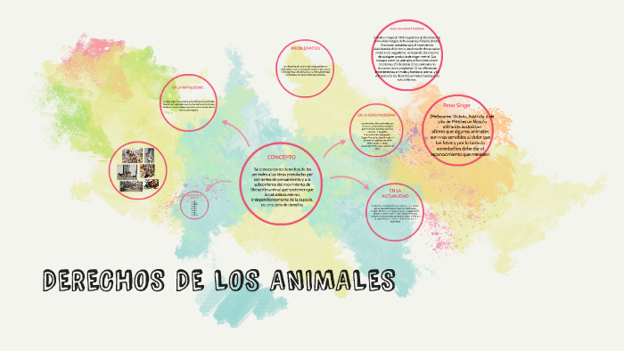 DERECHOS DE LOS ANIMALES by Camila Montoya on Prezi