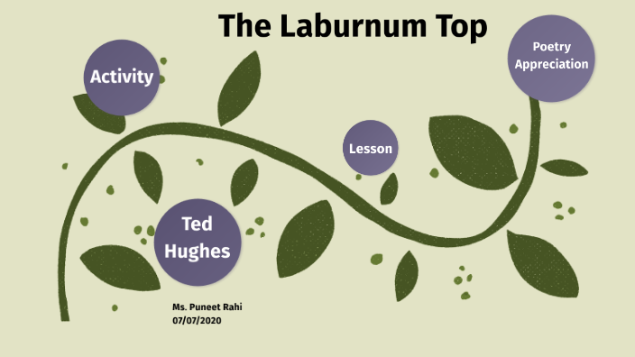The Laburnum by Rahi on Prezi Next
