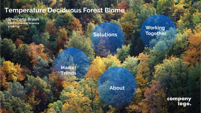 The Temperature Deciduous Forest Biome By Samantha Braun 2303