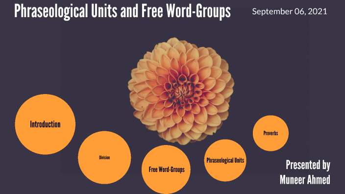 word-groups-lecture-12-word-groups-vs-phraseological-units