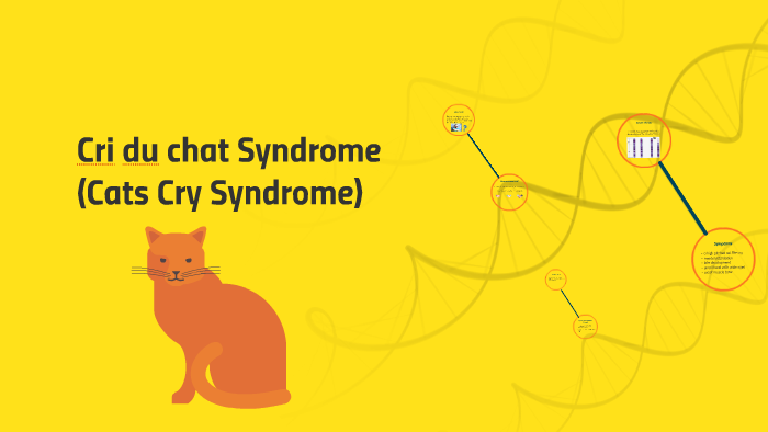 cri-du-chat-syndrome-cats-cry-syndrome-by-kal-kociss